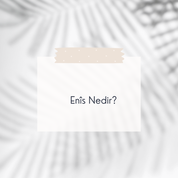 Enîs Nedir? 1