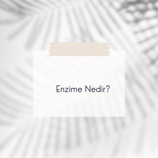 Enzime Nedir? 1