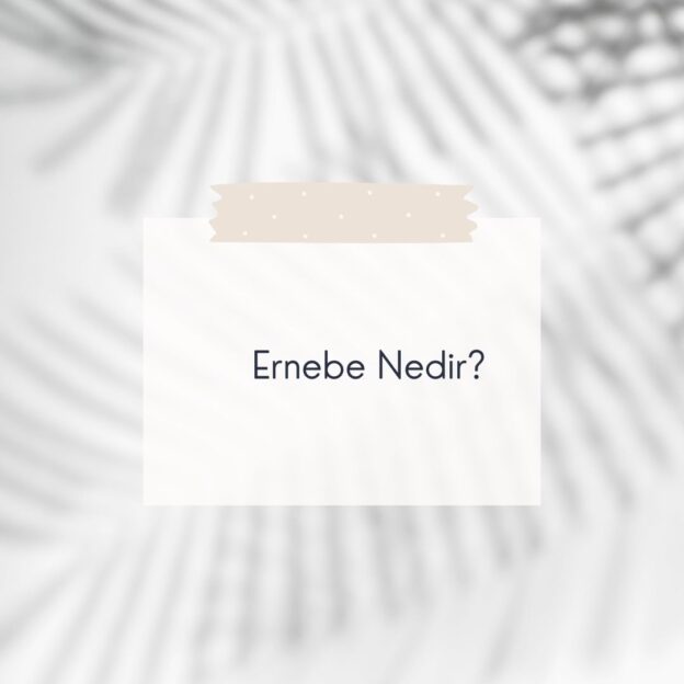 Ernebe Nedir? 1