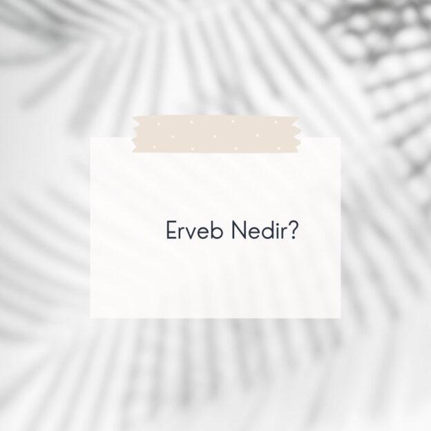 Erveb Nedir? 10