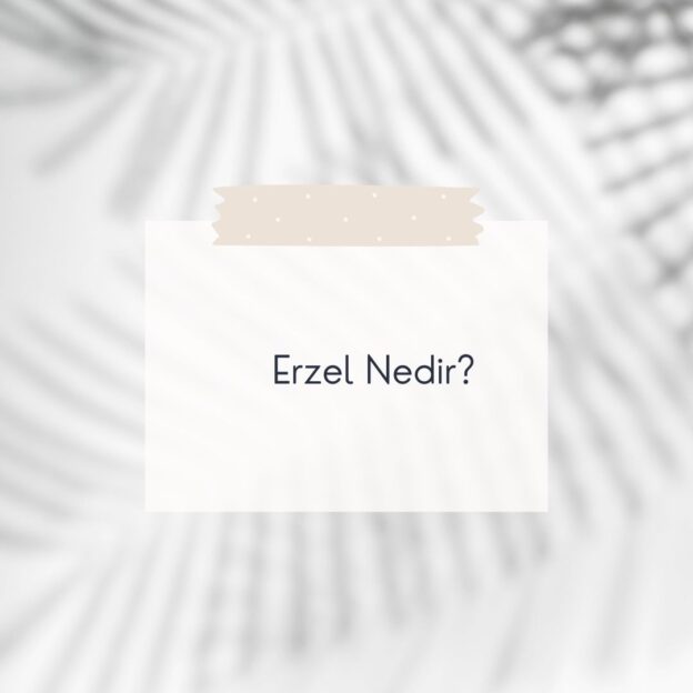 Erzel Nedir? 7
