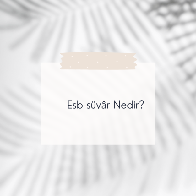 Esb-süvâr Nedir? 1