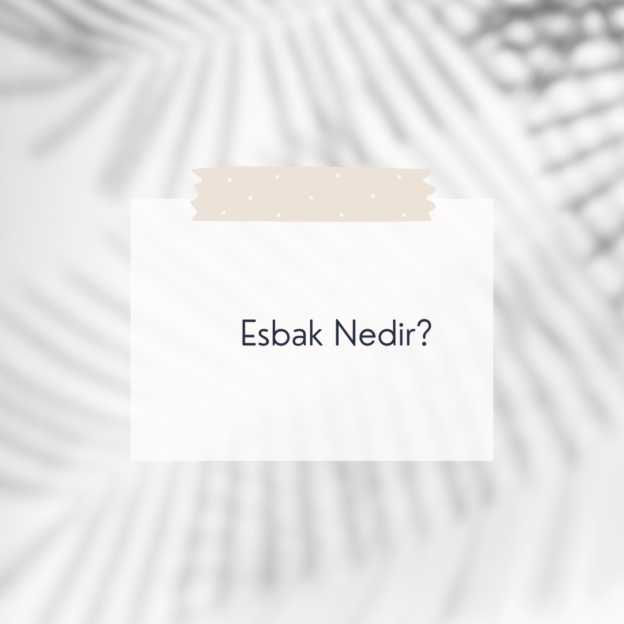 Esbak Nedir? 1