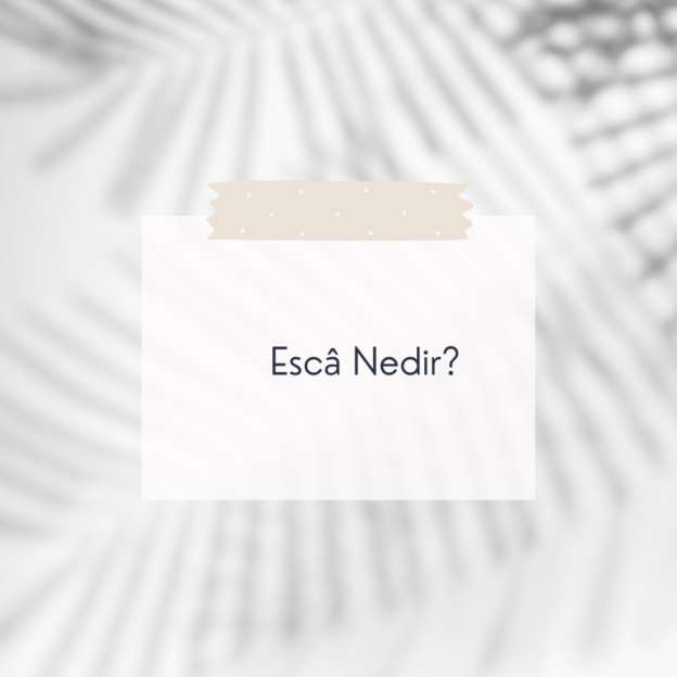 Escâ Nedir? 2