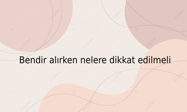 Bendir alırken nelere dikkat edilmeli 1