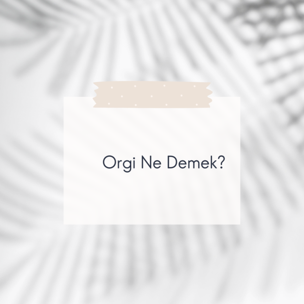 Orgi Ne Demek? 1