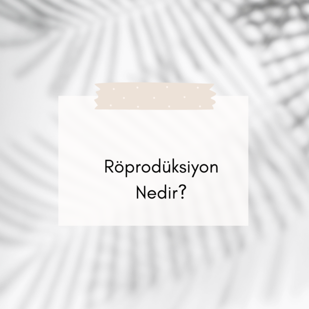 Röprodüksiyon Nedir? 1