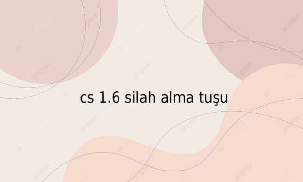 cs 1.6 silah alma tuşu 1