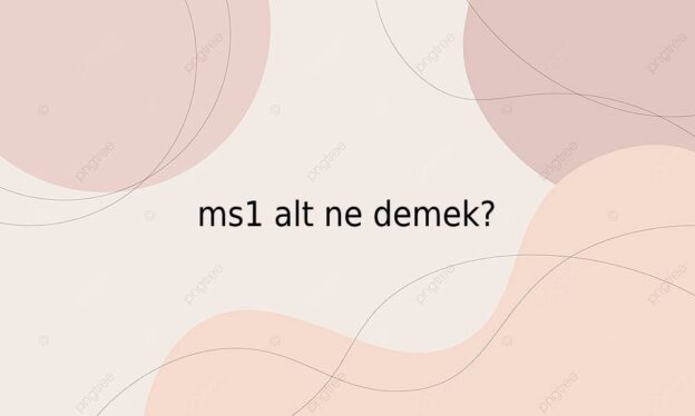 ms1 alt ne demek? 1