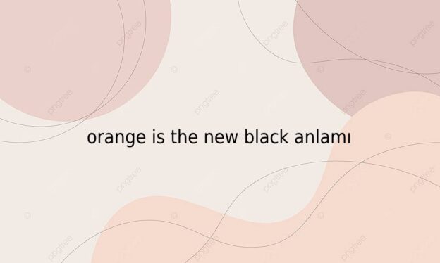 orange is the new black anlamı 5