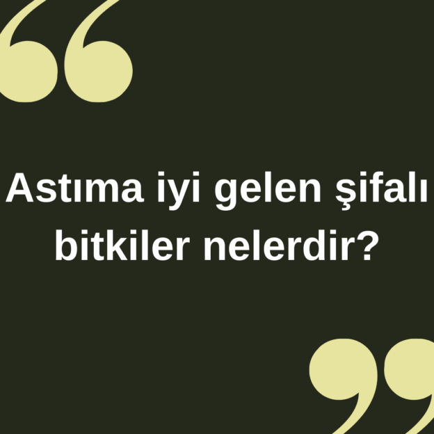 Astıma iyi gelen şifalı bitkiler nelerdir ? 1