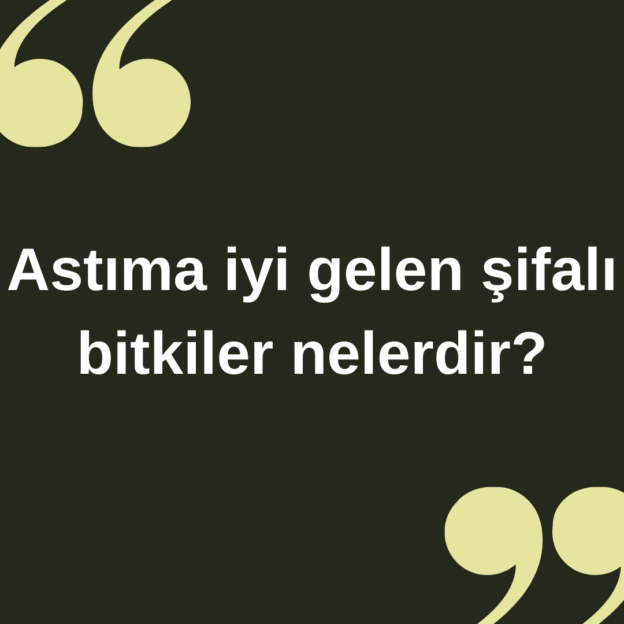 Astıma iyi gelen şifalı bitkiler nelerdir ? 4