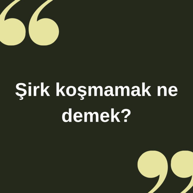 Şirk koşmamak ne demek ? 7