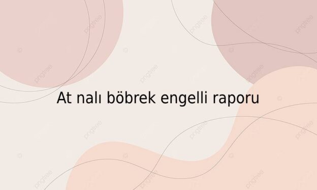 At nalı böbrek engelli raporu 1