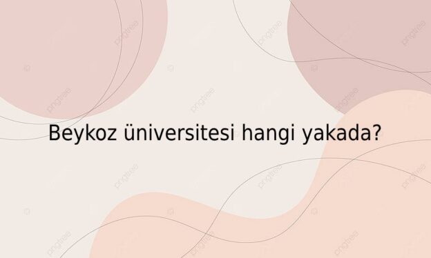 Beykoz üniversitesi hangi yakada? 1