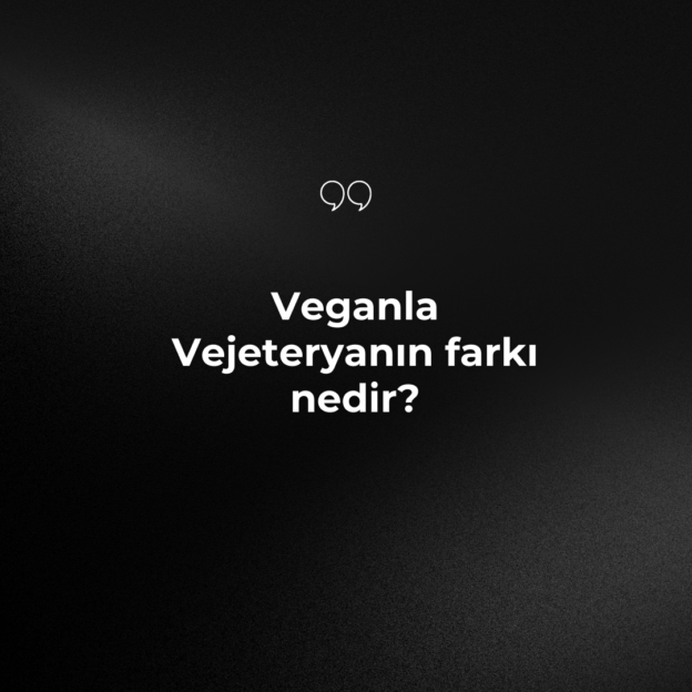 Veganla Vejeteryanın farkı nedir? 5