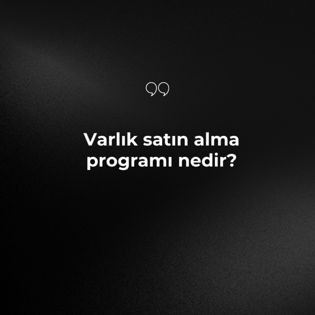 Varlık satın alma programı nedir? 4