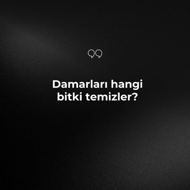 Damarları hangi bitki temizler? 1