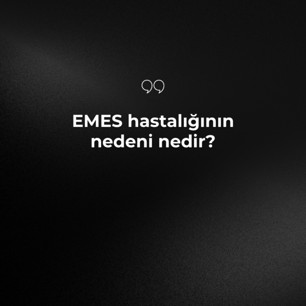 EMES hastalığının nedeni nedir? 1