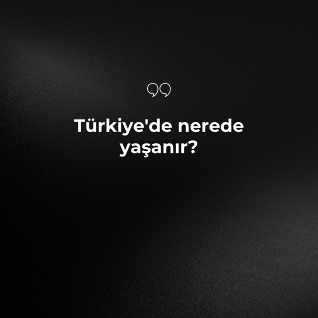 Türkiye'de nerede yaşanır? 1