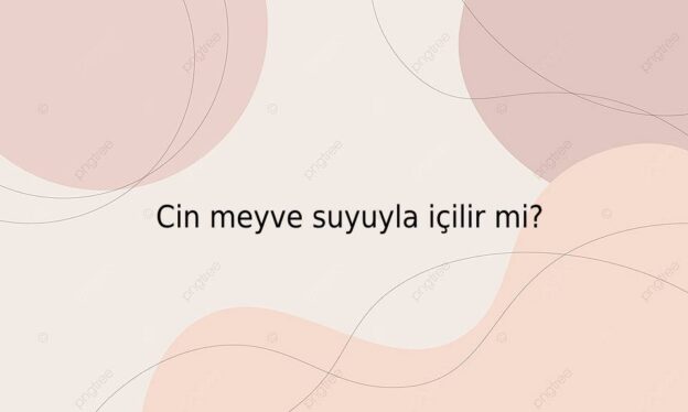 Cin meyve suyuyla içilir mi? 1