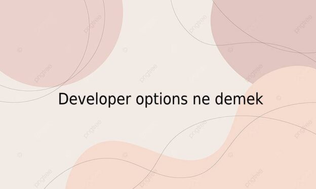 Developer options ne demek 10