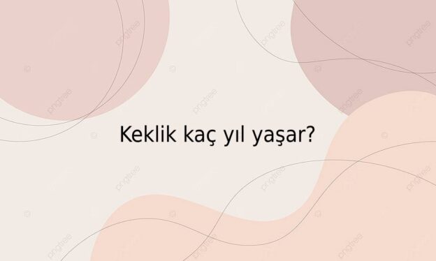 Keklik kaç yıl yaşar? 10