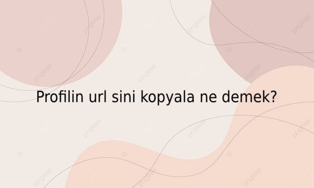 Profilin url sini kopyala ne demek? 5