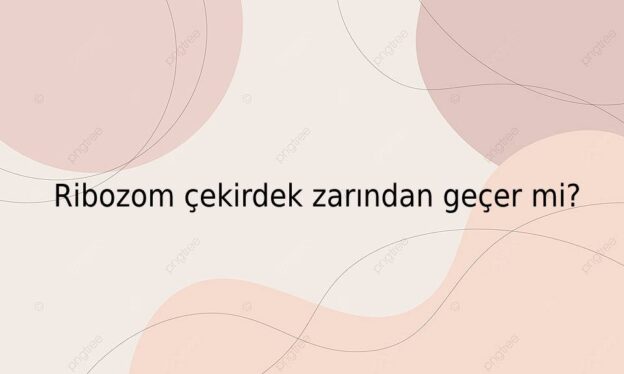 Ribozom çekirdek zarından geçer mi? 1