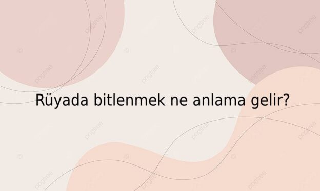 Rüyada bitlenmek ne anlama gelir? 1
