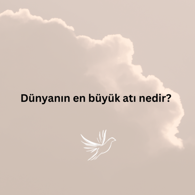 Dünyanın en büyük atı nedir? 1