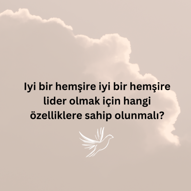 Iyi bir hemşire iyi bir hemşire lider olmak için hangi özelliklere sahip olunmalı? 1