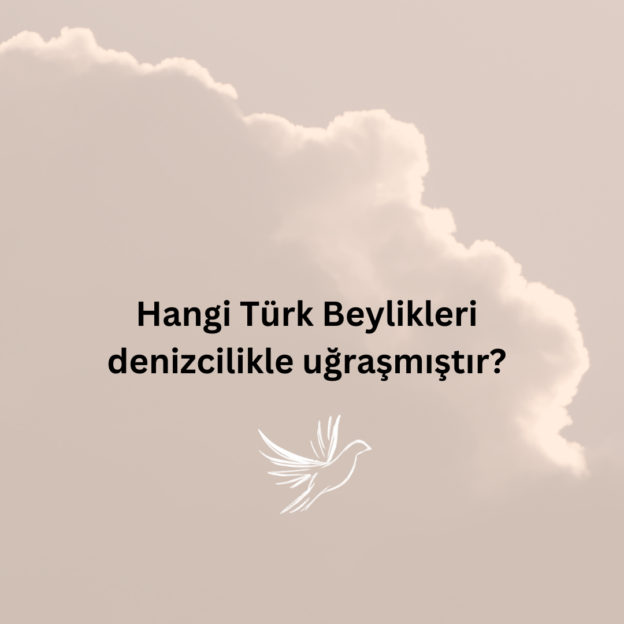 Hangi Türk Beylikleri denizcilikle uğraşmıştır? 1