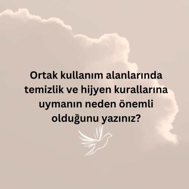 Ortak kullanım alanlarında temizlik ve hijyen kurallarına uymanın neden önemli olduğunu yazınız? 1