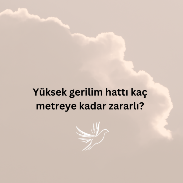 Yüksek gerilim hattı kaç metreye kadar zararlı? 1