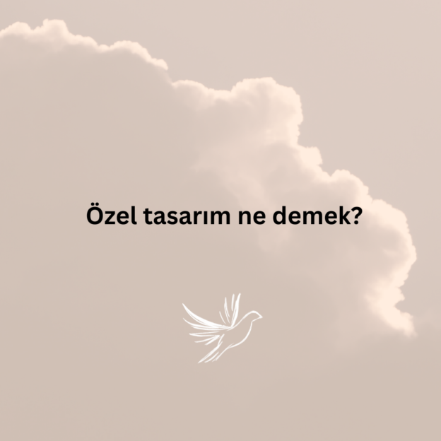 Özel tasarım ne demek? 1