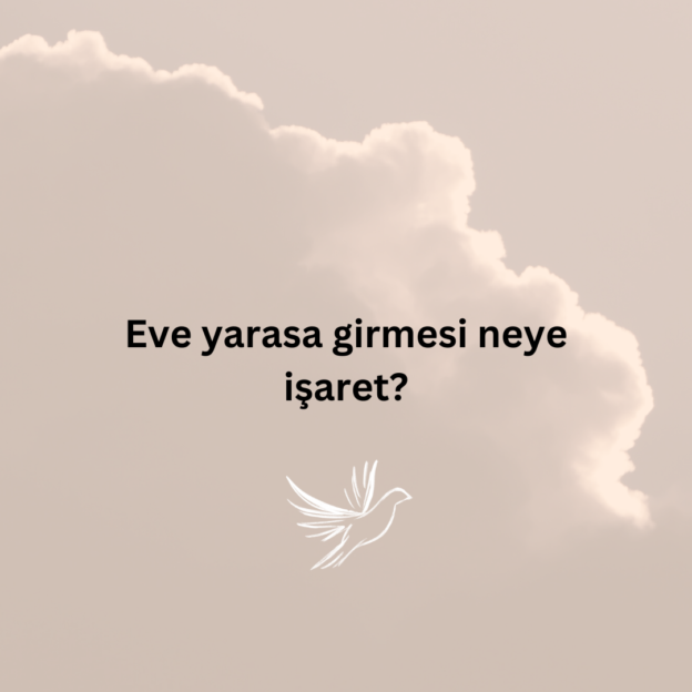 Eve yarasa girmesi neye işaret? 1