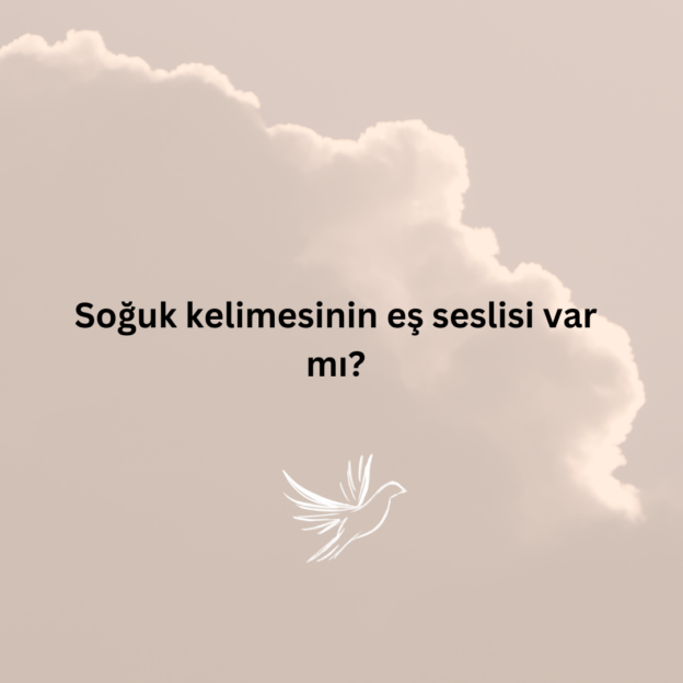 Soğuk kelimesinin eş seslisi var mı? 1