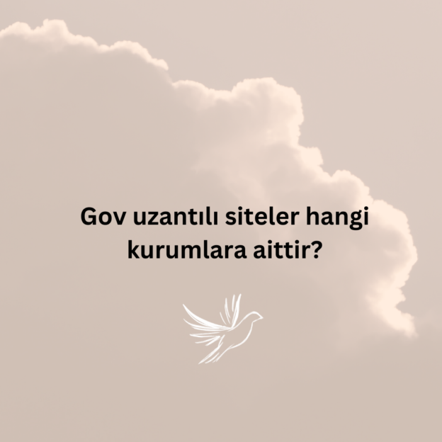 Gov uzantılı siteler hangi kurumlara aittir? 1
