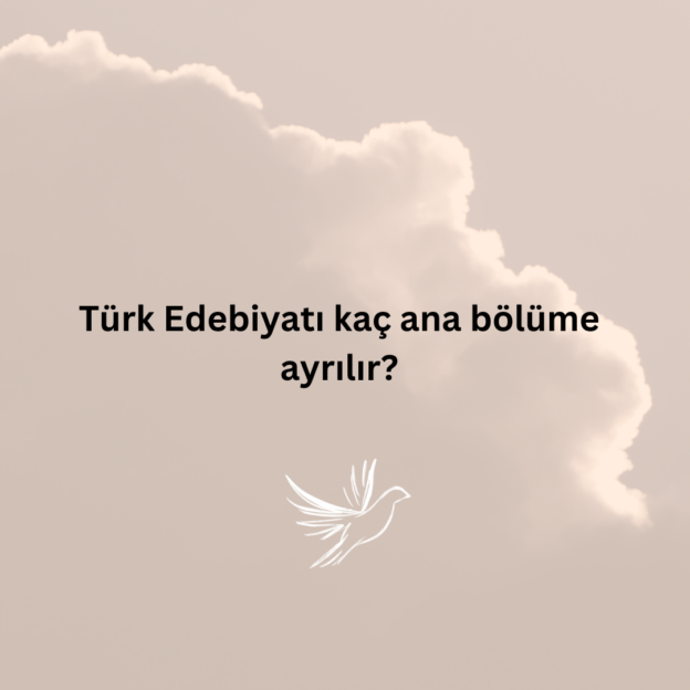 Türk Edebiyatı kaç ana bölüme ayrılır? 1