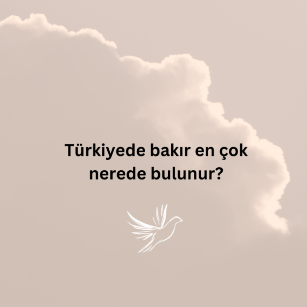 Türkiyede bakır en çok nerede bulunur? 1
