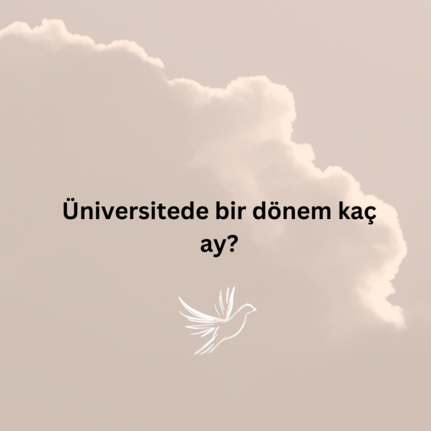 Üniversitede bir dönem kaç ay? 1