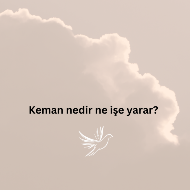 Keman nedir ne işe yarar? 1