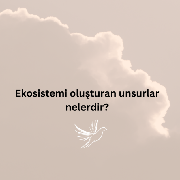 Ekosistemi oluşturan unsurlar nelerdir? 1