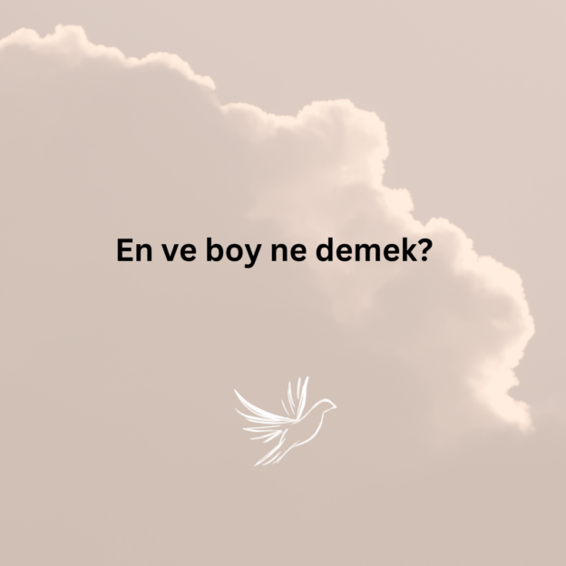 En ve boy ne demek? 1