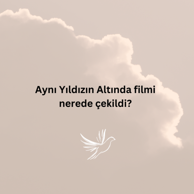 Aynı Yıldızın Altında filmi nerede çekildi? 1