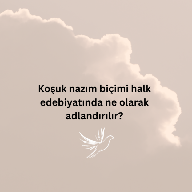 Koşuk nazım biçimi halk edebiyatında ne olarak adlandırılır? 1
