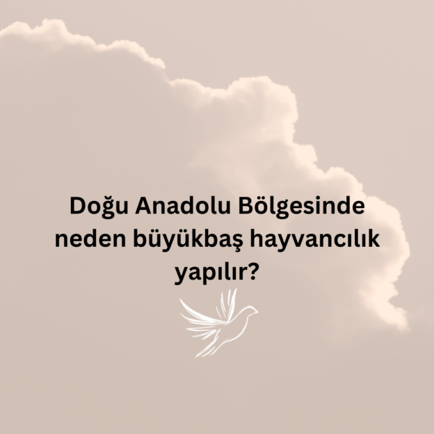 Doğu Anadolu Bölgesinde neden büyükbaş hayvancılık yapılır? 1