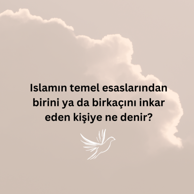 Islamın temel esaslarından birini ya da birkaçını inkar eden kişiye ne denir? 1