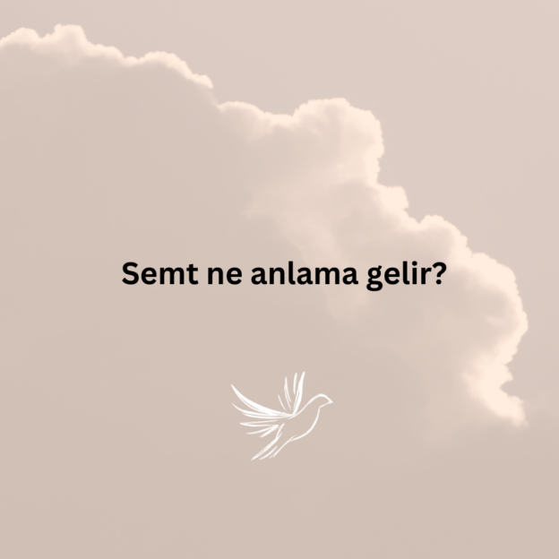 Semt ne anlama gelir? 1